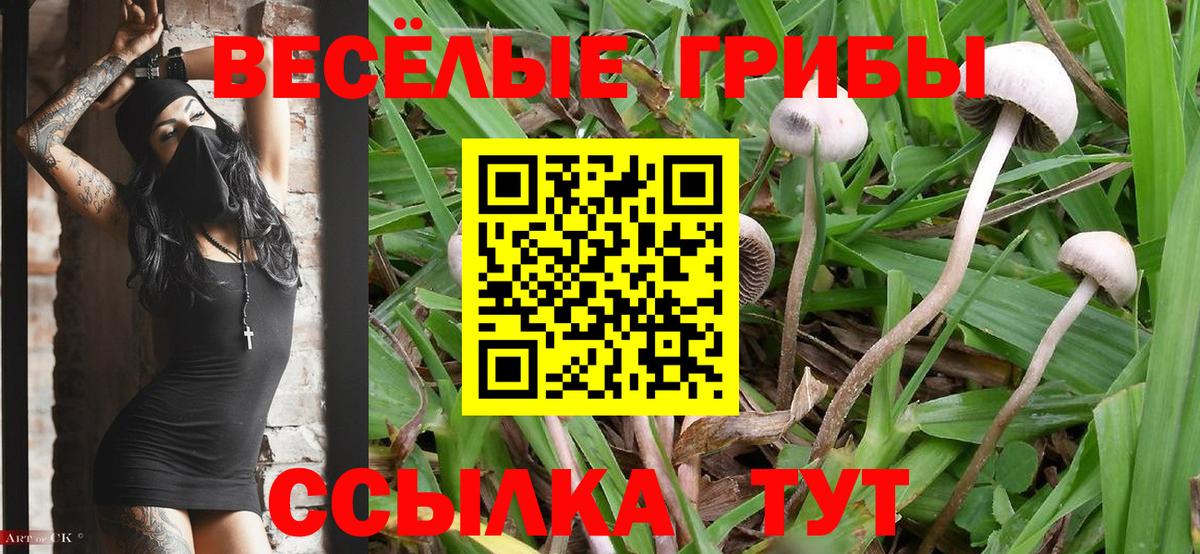 Псилоцибиновые грибы GOLDEN TEACHER Ханты-Мансийск