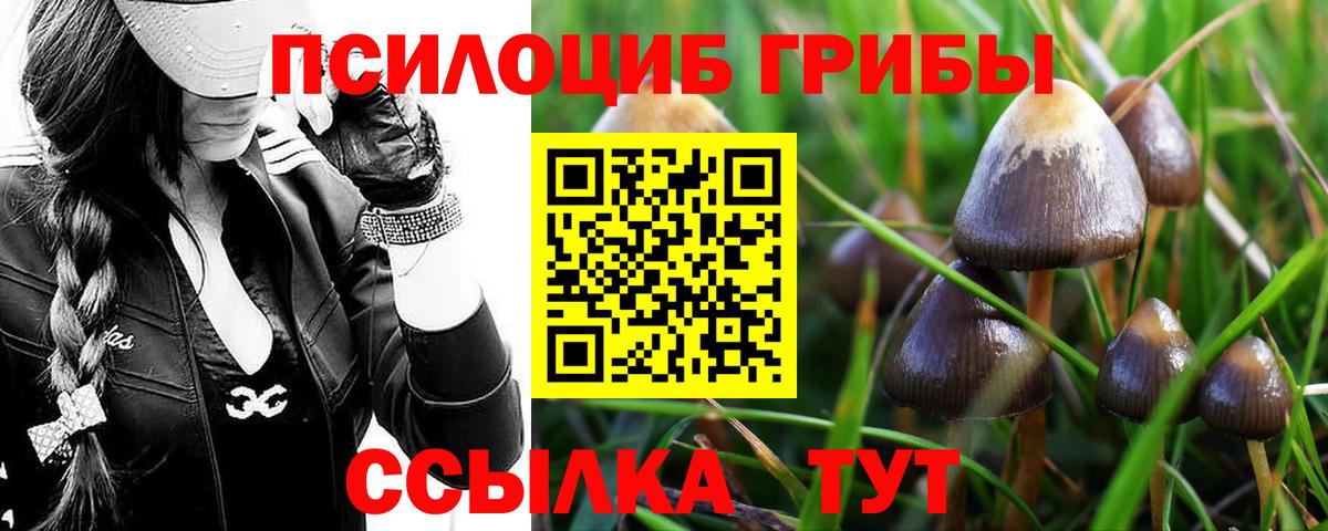 Ханты-Мансийск  Галлюциногенные грибы MAGIC MUSHROOMS  Вход с VPN 